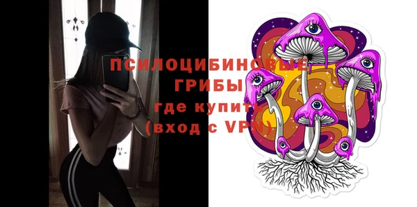 бошки Алзамай